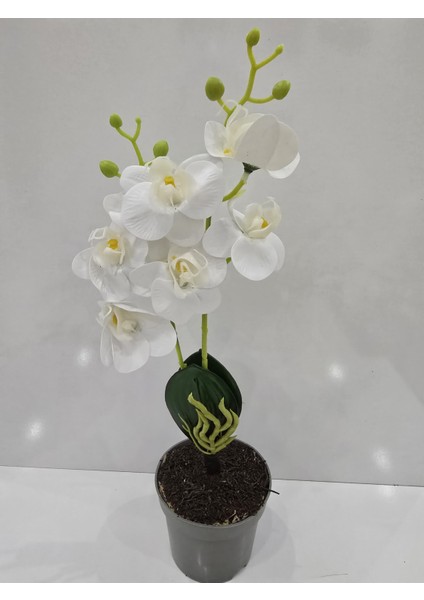 Saksısız Zarif Beyaz Orkide Yapay Bitki fiyatları