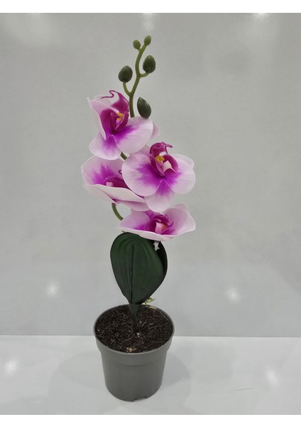 Zarif Çift Renk Orkide Yapay Bitki