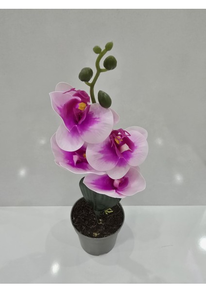 Zarif Çift Renk Orkide Yapay Bitki fiyatları
