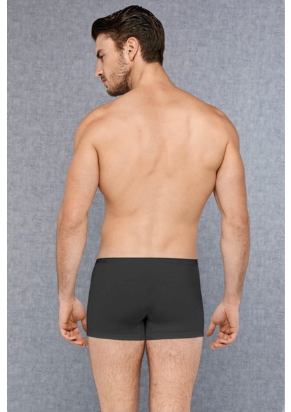 Modal Boxer fiyatları