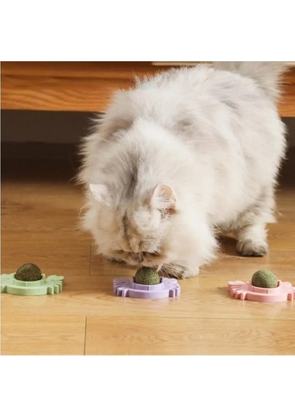 Yengeç Kedi Otu Oyun Topu