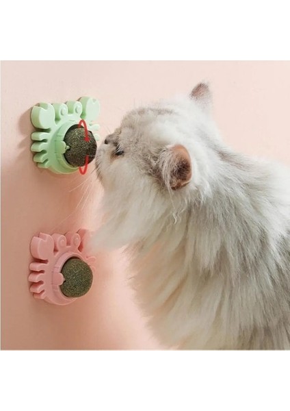 Yengeç Kedi Otu Oyun Topu modelleri