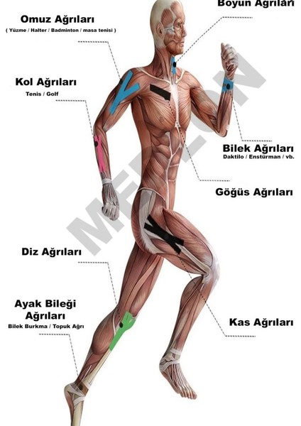 Sporcu Bandı Kinesio Tape Kinezyo Bandı Spor Sporcu Bandı Ağrılar Kas Sport Tape