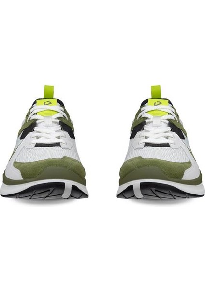 Biom 2.2 M Acorn fırsatları