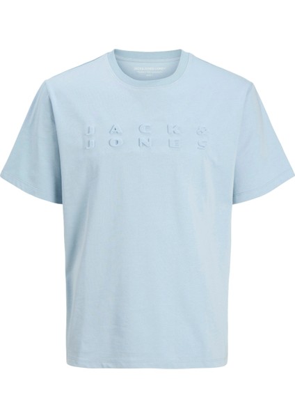 Jack Jones Jcopacer Prınt Tee Ss Crew Neck Erkek Mavi Tshirt 12273295-07