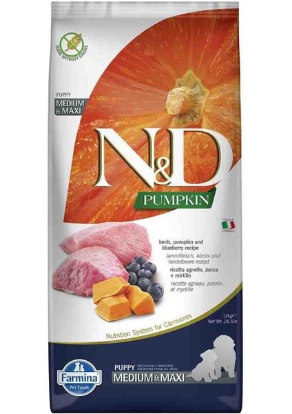 Nd Pumpkin Tahılsız Medium Maxi Puppy 12kg Tahılsız Kuzu Bal Kabağı ve Yaban Mersinli Yavru Köpek Maması