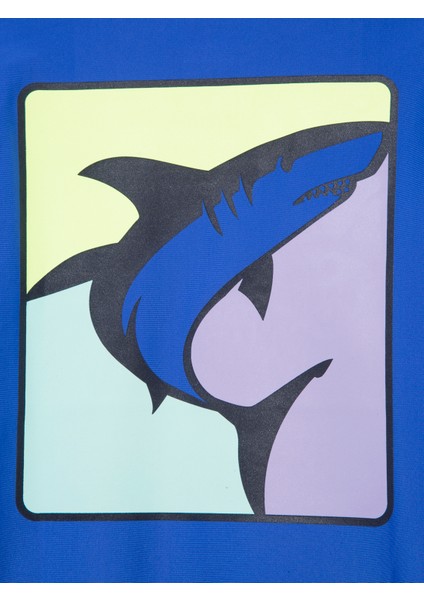 Erkek Çocuk Mavi Grafik Baskılı Mayo T-Shirt modelleri