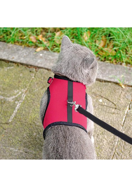 Kedi Gezdirme Boyun Tasması