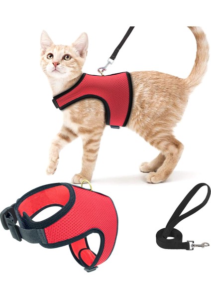 Kedi Gezdirme Boyun Tasması
