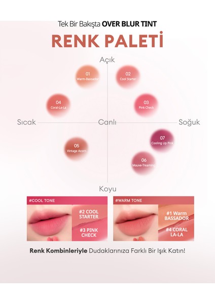 Gün Boyu Kalıcı Pürüzsüz Matlık Sunan Tint PERIPERA Over Blur Tint (005 Vintage Acorn)