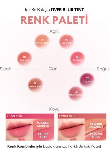 Gün Boyu Kalıcı Pürüzsüz Matlık Sunan Tint PERIPERA Over Blur Tint (002 Cool Starter)