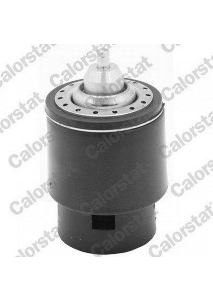 Termostat 87 C Vw Golf Sportsvan Vii Am1 An1 1.4 Tsi 14-20 10
