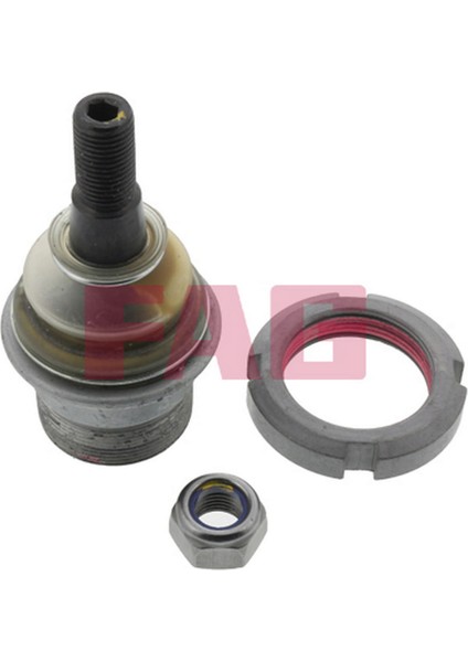 Rotil On Alt Mercedes Ml-Class W163 98 05 12