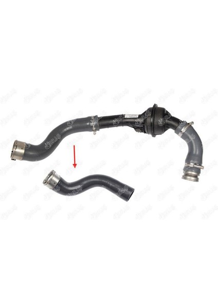 Turbo Hortumlari Dacia Dokker 1.5 Dci 12 10