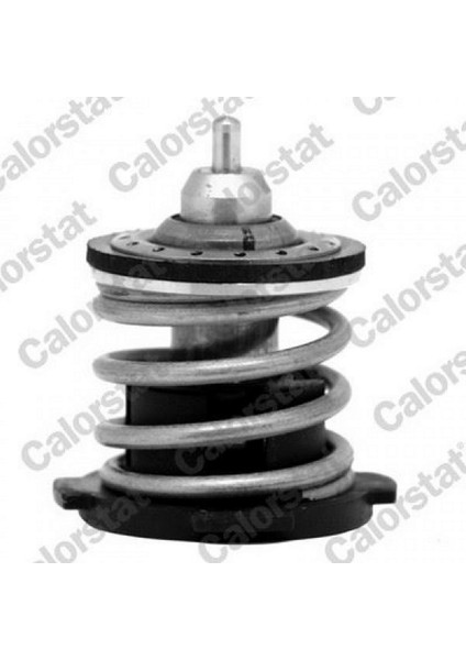 Termostat 80C Golf Vii-Passat-Polo V-Ibiza Iv-Fabia Iii 10