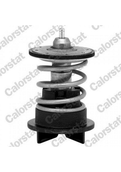 Termostat 89 C Vw Passat B7 11-14 10