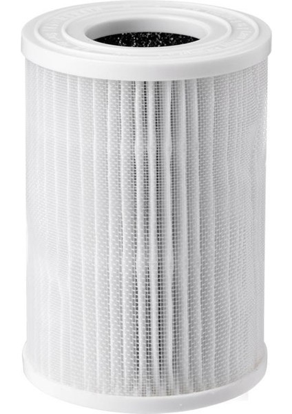 Hava Temizleyiciler Filtreyi, Ön Filtre Katmanını, Hepa Filtre Katmanını, Aktif Karbon Filtre Katmanını Değiştirir AP02 (Yurt Dışından)