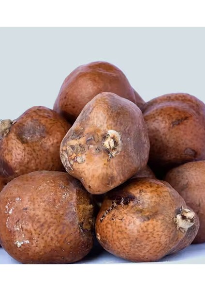 2 Adet Adem Elması ( Mekke Cevizi - Dogum Meyvesi ) fiyatları