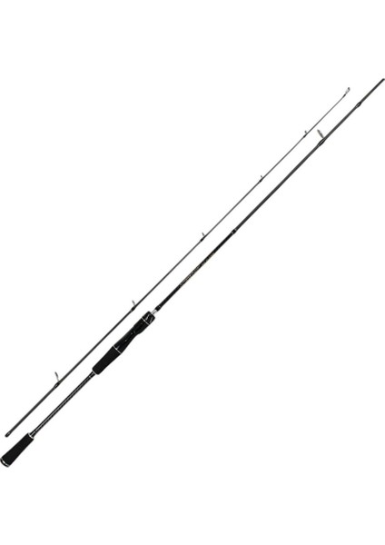 Big Cast 2,40 10-40 gr