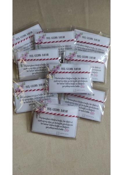 Marteniçka Dilek Bilekliği, 10 Adet, Şans Bileklik Seti, Arkası Ayarlanabilir, Her Biri Ayrı Paketli fırsatları