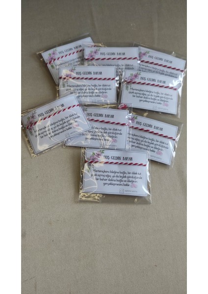 Marteniçka Dilek Bilekliği, 10 Adet, Şans Bileklik Seti, Arkası Ayarlanabilir, Her Biri Ayrı Paketli indirimleri