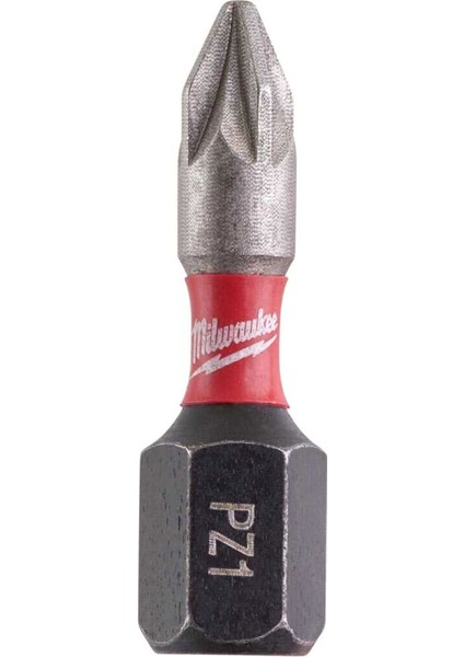 25 mm Bits Uç (T4932430861)