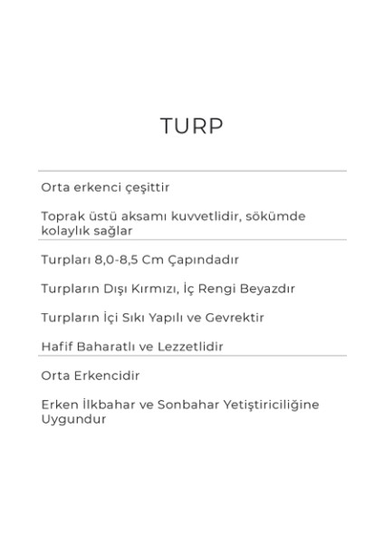 Turp Tohumu 10 gr Kırmızı Iri modelleri
