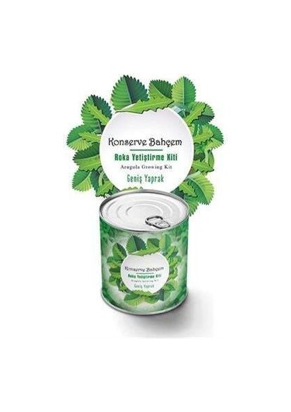 Buffer® Konserve Bahçem Evde Konservede Iri Yapraklı Roka Yetiştirme Kiti