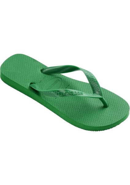 Top Green Unisex Yeşil Terlik 2703 fırsatları
