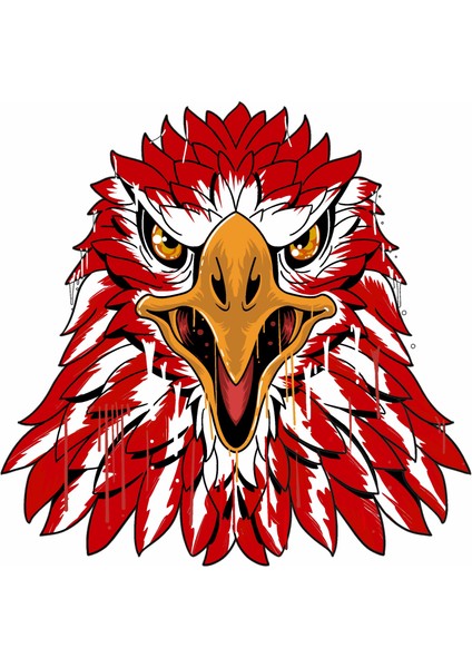 Kartal Kırmızı Beyaz Sticker Araba Oto Motosiklet Karavan Etiket 00944