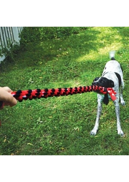 Signature Rope Çift Düğümlü Ip Köpek Oyuncağı 101 cm