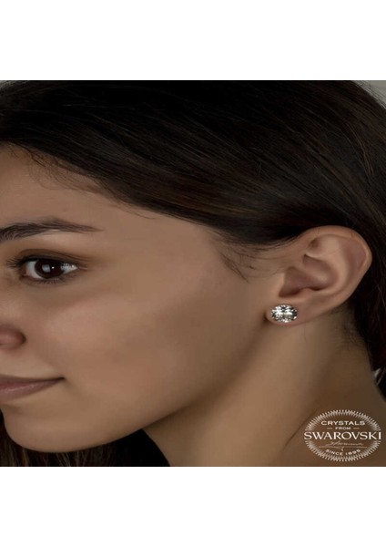 Kristal Taşlı Gümüş Çivili Kadın Küpe CSR2184614 fiyatları