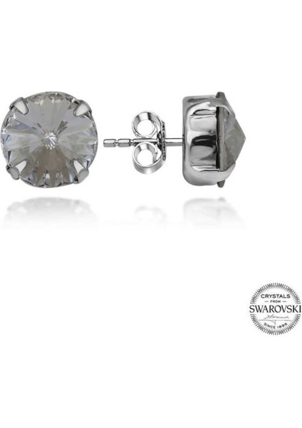 Kristal Taşlı Gümüş Çivili Kadın Küpe CSR2184609