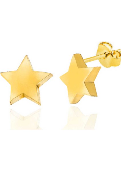 Gümüş Gold Yıldız Çivili Kadın Küpe CSR2184792