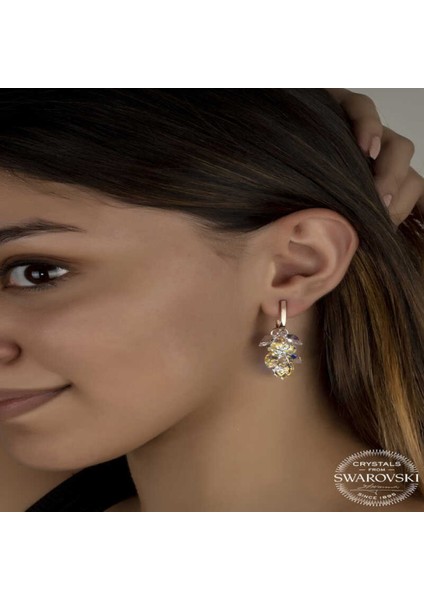 Kristal Taşlı Gümüş Kalp Salkım Sallantılı Çivili Kadın Küpe CSR2184571 fiyatları