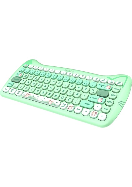 KM-6285 Catty Mını Renkli Tuşlu Yeşil 2.4 Ghz + Bt Kablosuz Q Multimedia Klavye + Mouse Set