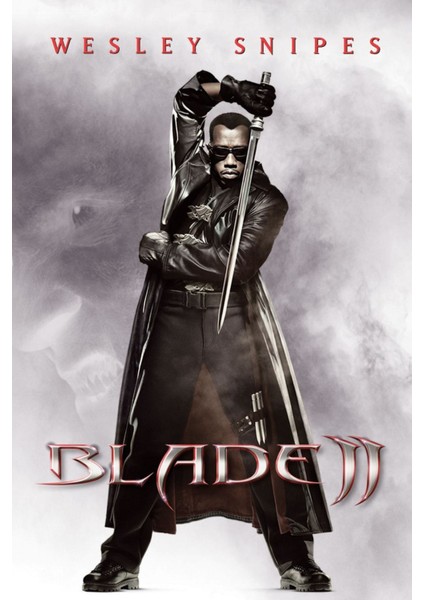 Blade Iı (2002) (Folyo / Afiş / Poster) 1824 ( 70 Cm X 100 Cm )