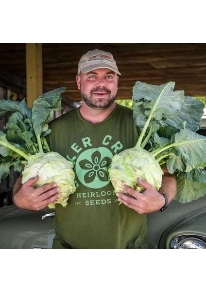 Doğal Geleneksel Giantl Kohlrabi (Alabaş) Tohumu (15 Tohum)