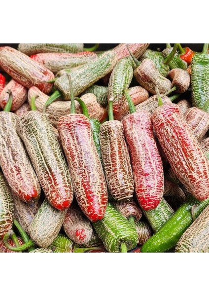 Nadir Ata Tohumu Jalapeno Farmers Biber Tohumu (10 Tohum)