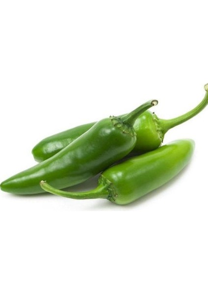 Derya Çok Acı Yeşil Süs Biberi Tohumu (50 Tohum)