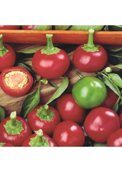 Red Cherry Tatlı Biber Tohumu (50 Tohum)