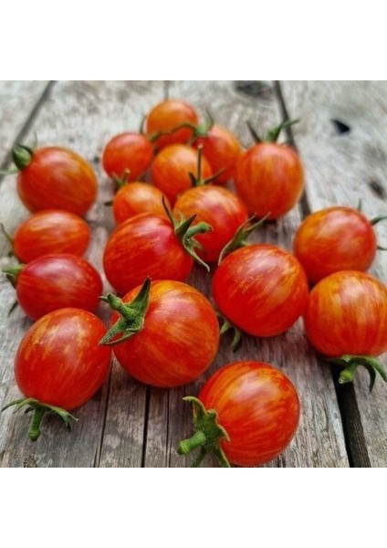 Süpernova Cherry Domates Tohumu (15 Tohum)