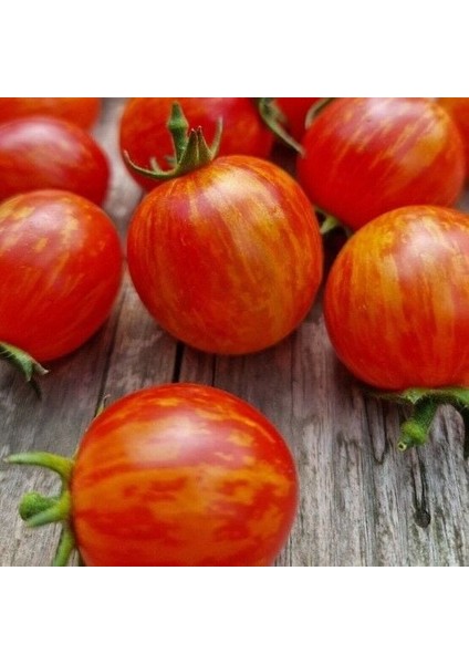 Süpernova Cherry Domates Tohumu (15 Tohum)