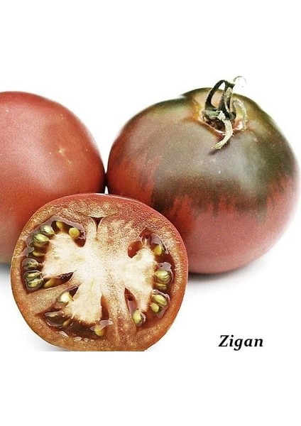Alacalı Zigan Etli Armut Domates Tohumu (15 Tohum) fiyatları