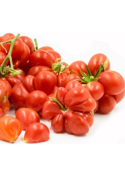 Kırmızı Voyego Domates Tohumu (15 Tohum)