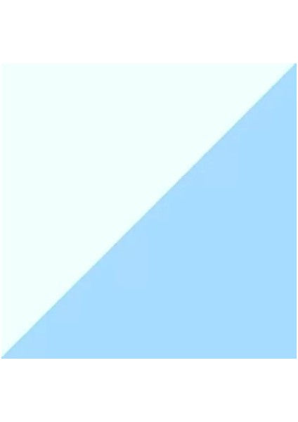 Brushables 2 Renk Tonu Fırça Uçlu Marker Kalem 302 Powder Blue