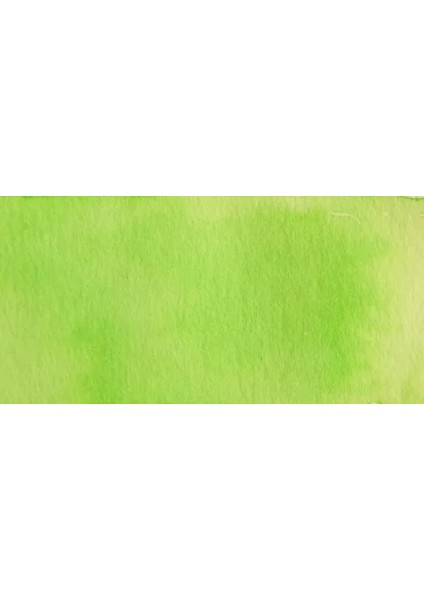 Ecoline 30ML Pastel Green NO:666