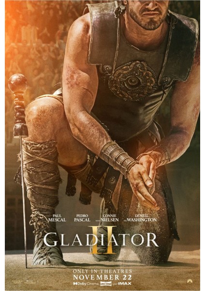 Gladiator Iı (2024) 0011 (Folyo / Afiş / Poster) 3077 ( 70 cm x 100 cm )