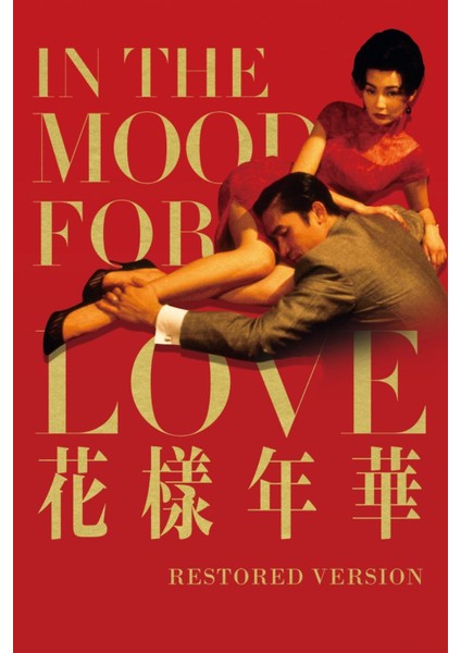 In The Mood For Love (2000) 6 (Folyo / Afiş / Poster) 3733 ( 70 cm x 100 cm )