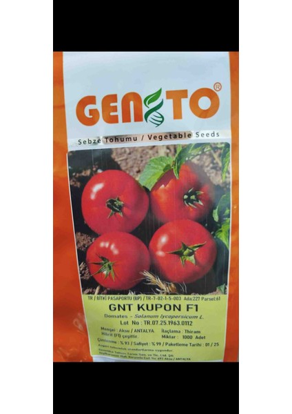 Kupon F1 Oturak Hibrit Kırmızı Domates Tohumu 1.000 Adet